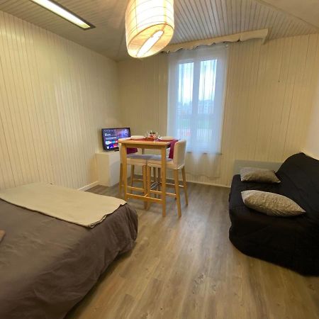 Studio Les Coquelicots Apartamento Troyes Exterior foto